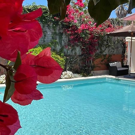 Studio With Private Swimming Pool And Garden 卡斯凯什 外观 照片