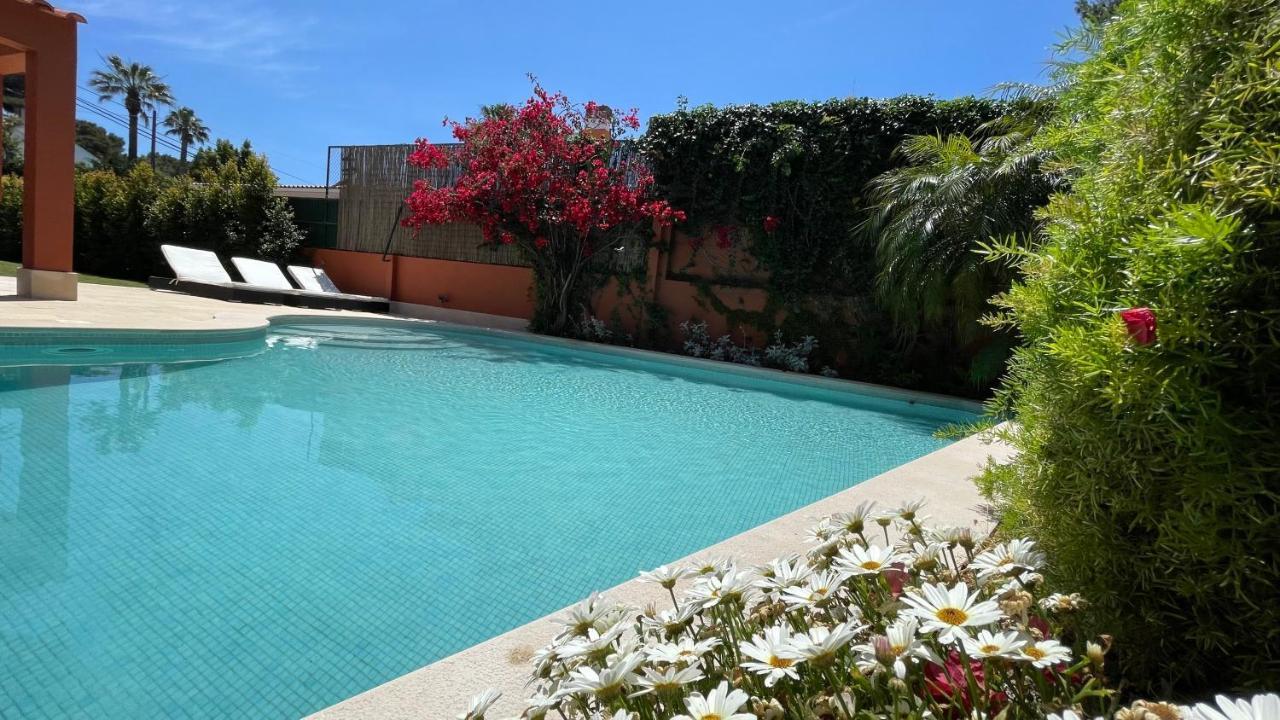 Studio With Private Swimming Pool And Garden 卡斯凯什 外观 照片