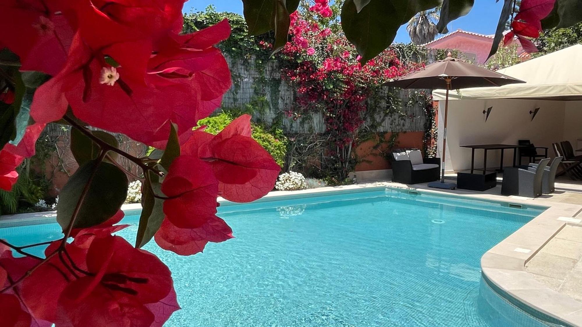 Studio With Private Swimming Pool And Garden 卡斯凯什 外观 照片